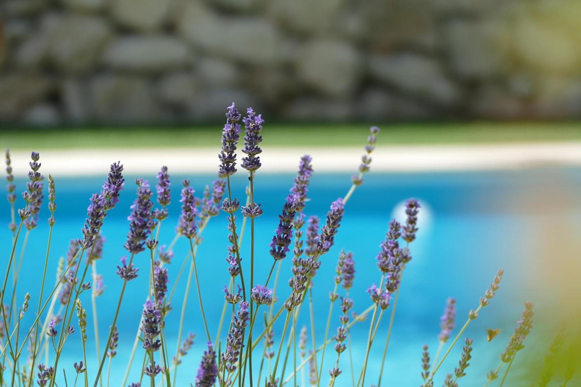 Kalpic Suites & Villa Lozovac Exterior foto